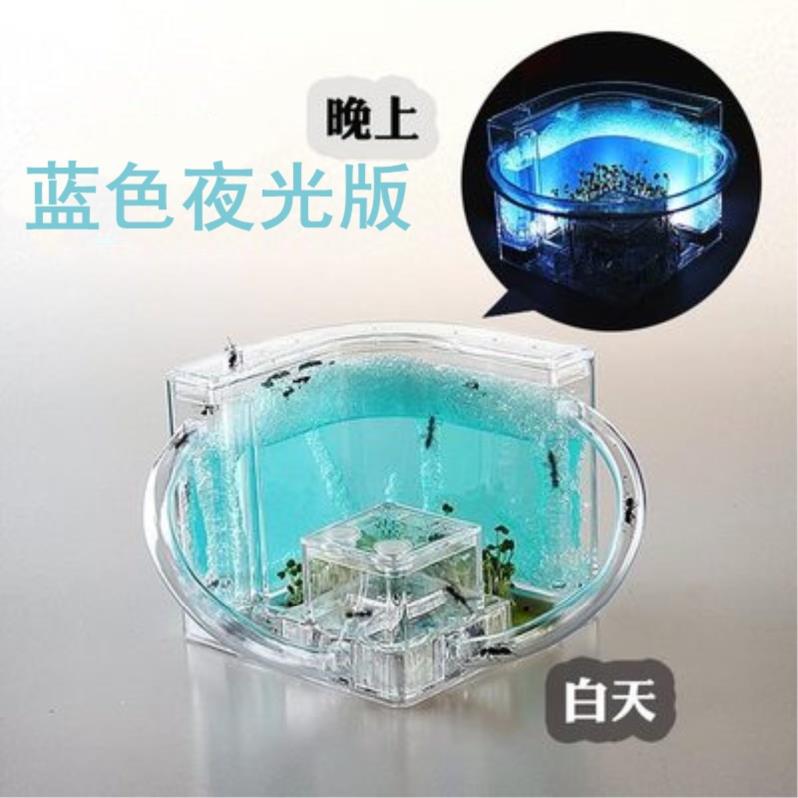 ecology Ant Mania Manor Ants home Formicary Toys luxury Palace small losses test tubein the Pet/Pet food and supplies , Reptile/Insects and supplies Ming , Ant Mania category - from Buy2taobao.com to provide professional Taobao agent buy service