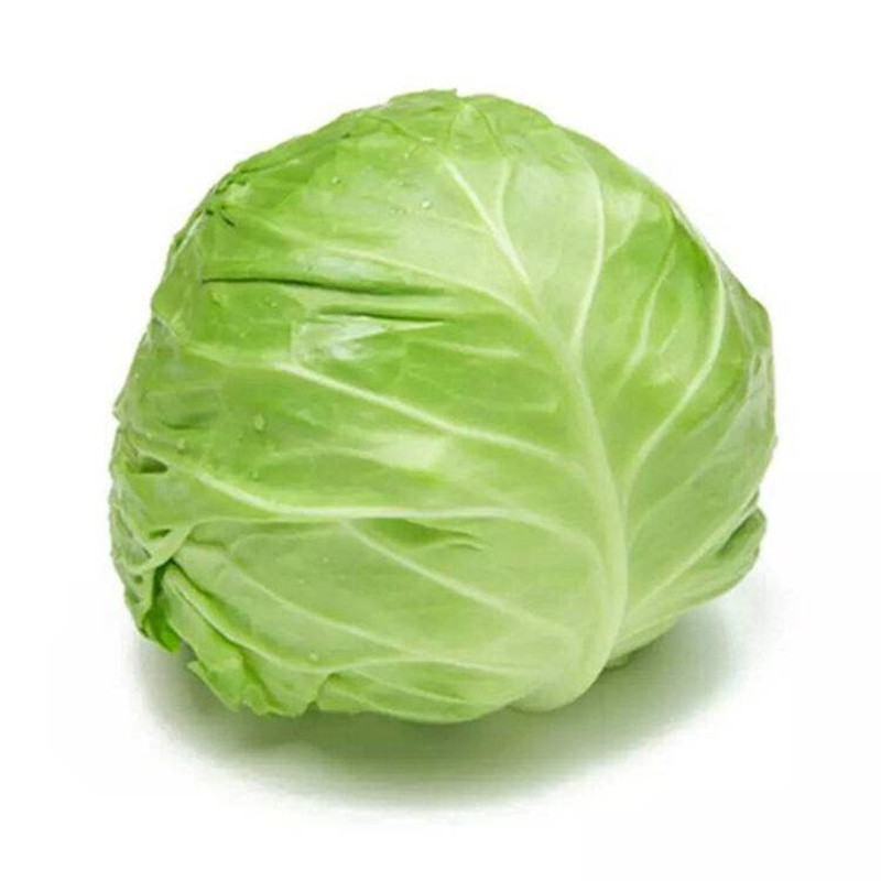 Shandong Fresh vegetables Cabbage Cabbage Lotus White 5 Cabbage Cabbage Cabbage pickled cabbagein the Aquatic meat/Fresh fruits and vegetables/Cooked , Fresh vegetables/Vegetable products , Fresh vegetables , Other category - from Buy2taobao.com to provide professional Taobao agent buy service
