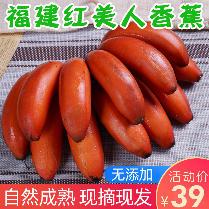 福建红美人香蕉新鲜5斤现摘当季水果包邮红皮香蕉火龙蕉非小米蕉|ruв категории водной мясо/свежие фрукты и овощи/еда, свежие фрукты, банан - от Buy2taobao.com для оказания профессиональной услуги покупки агента Taobao