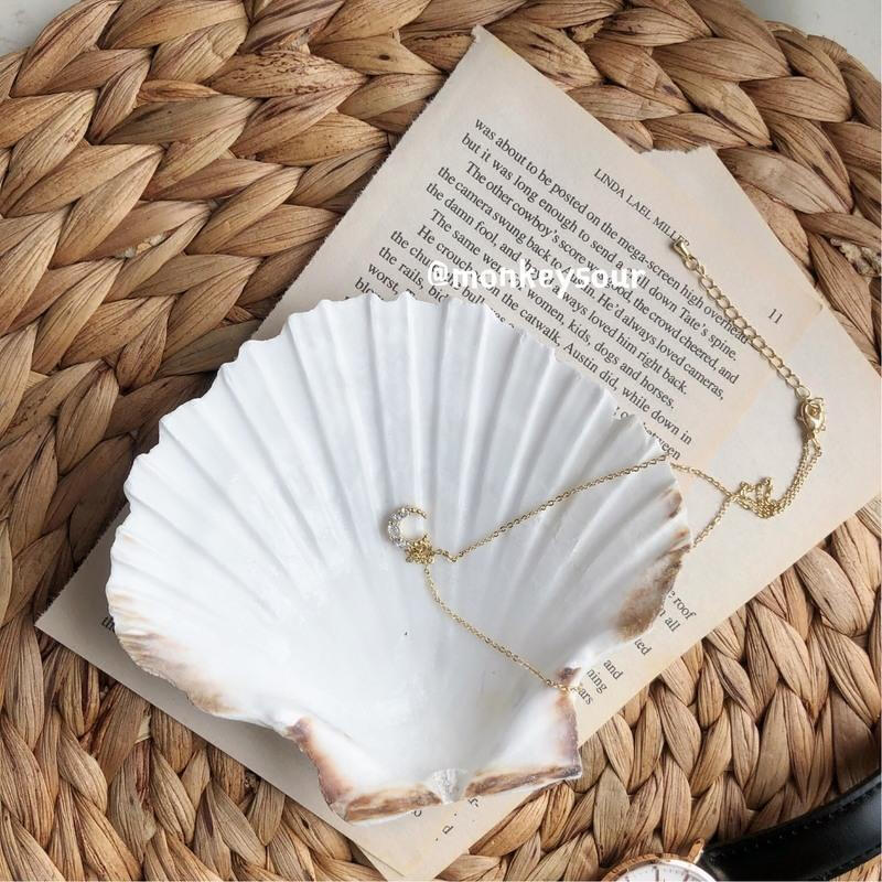 natural wild shell Jewelry decorate Storage tray Shell plate photograph prop Decorationin the Play mode/Anime/Periphery/cos/Board games , Cosplay Apparel/Props/Service , COSPLAY Fitting/Props/Doll clothes category - from Buy2taobao.com to provide professional Taobao agent buy service