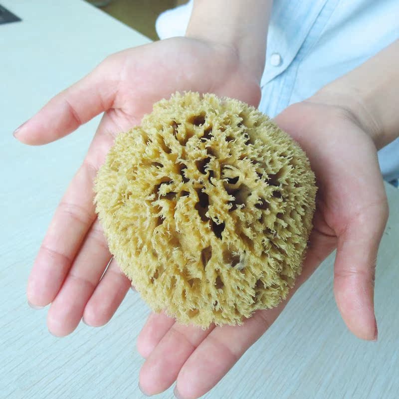 希臘天然海綿蜂窩海藻綿 藝術塗料美術矽藻泥工具 壁紙肌理浮雕在類目 基礎建材, 塗料(乳膠漆), 硅藻泥中 - 來自Buy2taobao.com提供專業的淘寶代購服務