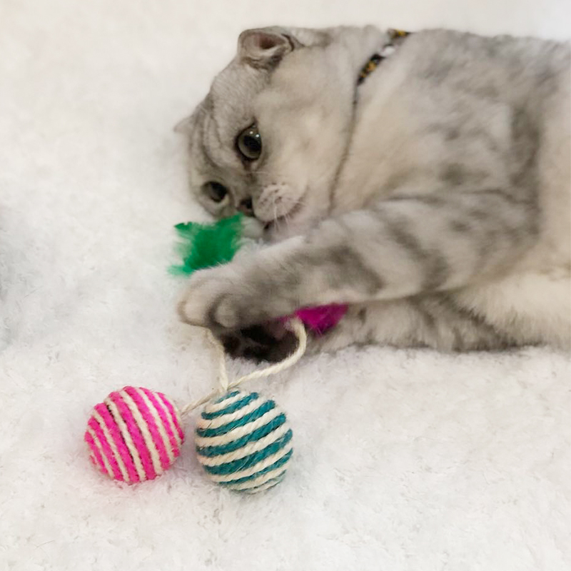 Toys Cat teaser stick Sisal Ball Feather Vocalization Kitty Molar Shuttlecock ball badmintonin the Pet/Pet food and supplies , Cat/Dog Toys , Funny cat stick category - from Buy2taobao.com to provide professional Taobao agent buy service