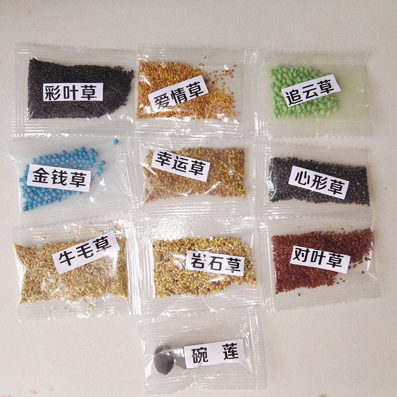 吸水石植物树吸水石种子吸水石植物草籽上水石草籽四季绿植物苔藓在类目 鲜花速递/花卉仿真/绿植园艺, 园艺用品, 其它园艺用品中 - 来自Buy2taobao.com提供专业的淘宝代购服务