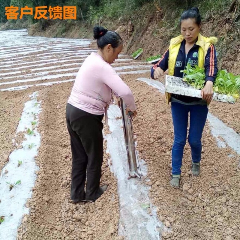 移栽苗器农用工具大棚万能播种机全自动栽种植烟西瓜辣椒栽菜神器|ruв категории кухня/посуда, кухонный Гаджет/кухня хранения, кухня гаджеты костюм - от Buy2taobao.com для оказания профессиональной услуги покупки агента Taobao