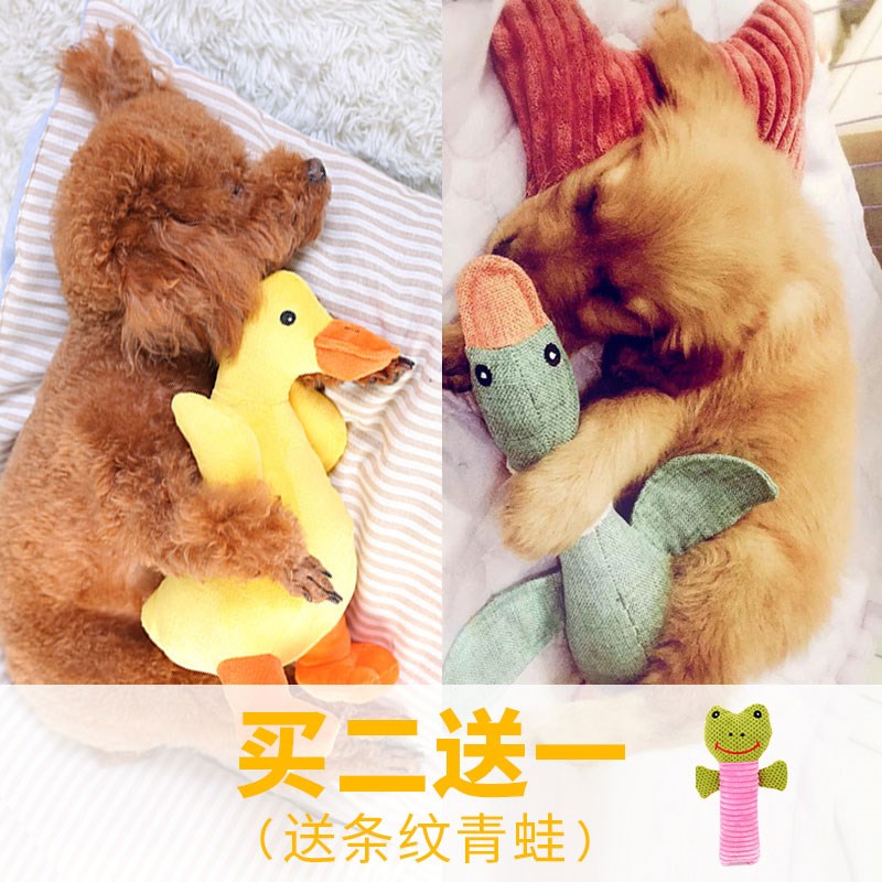狗狗玩具磨牙耐咬泰迪金毛发声幼犬小型犬毛绒宠物发情期发泄用品在类目 宠物/宠物食品及用品, 猫/狗玩具, 发声玩具中 - 来自Buy2taobao.com提供专业的淘宝代购服务