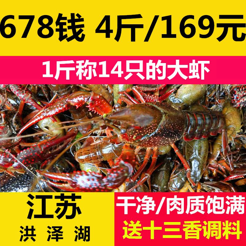买3斤送1斤 正宗江苏清水小龙虾鲜活现货678钱青壳活体大虾青红虾|msdalam kategori daging perikanan/Buah-buahan segar dan sayur-sayuran/dimasak, makanan laut/produk akuatik/produk, udang, udang Live - dari Buy2taobao.com untuk memberikan perkhidmatan ejen Taobao profesional membeli