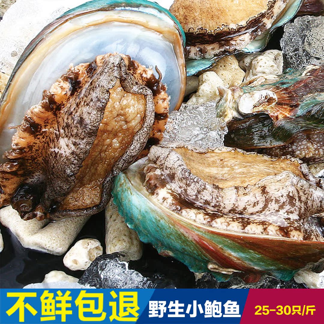 鲜活野生小鲍鱼 25-30只/斤野生皱文盘鲍 东山岛野生鲍鱼野生活体在类目 水产肉类/新鲜蔬果/熟食, 海鲜/水产品/制品, 贝类, 鲍鱼中 - 来自Buy2taobao.com提供专业的淘宝代购服务