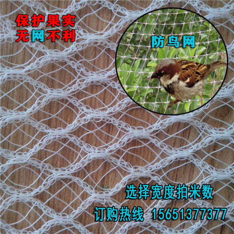 防鳥網庭院家用農用葡萄果園防鳥網尼龍果樹大棚養殖陽台戶外天網在類目 鮮花速遞/花卉仿真/綠植園藝, 園藝用品, 其它園藝用品中 - 來自Buy2taobao.com提供專業的淘寶代購服務