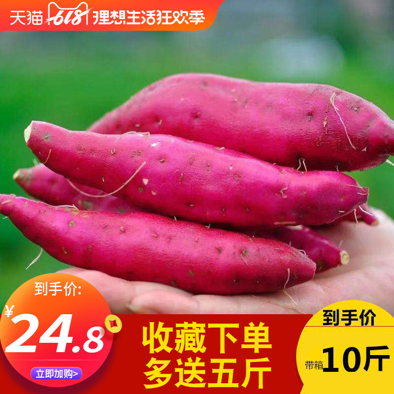 新鲜蜜薯农家现挖10斤带箱包邮红薯小番薯地瓜板栗紫箱包装香薯在类目 水产肉类/新鲜蔬果/熟食, 新鲜蔬菜/蔬菜制品, 新鲜蔬菜, 番薯中 - 来自Buy2taobao.com提供专业的淘宝代购服务