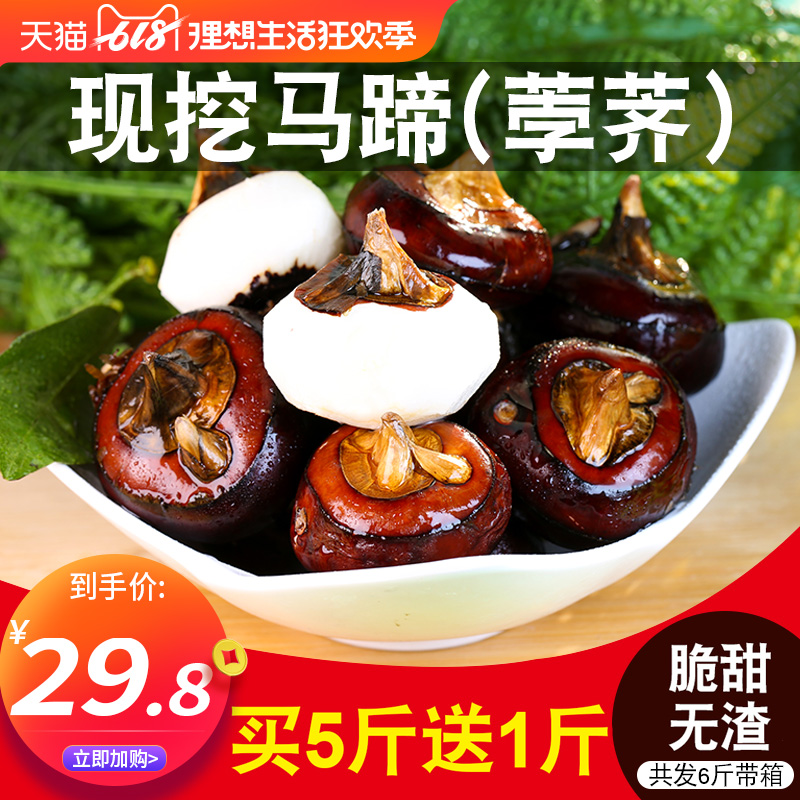 荸荠马蹄6斤带箱荸荠新鲜包邮当季水果蔬菜10饽荠应季即食马蹄果在类目 水产肉类/新鲜蔬果/熟食, 新鲜蔬菜/蔬菜制品, 新鲜蔬菜, 其它中 - 来自Buy2taobao.com提供专业的淘宝代购服务