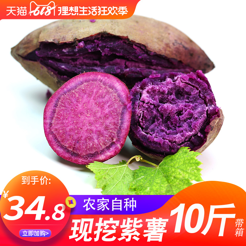 新鲜紫薯农家现挖10斤带箱包邮小番薯红皮地瓜板栗蜜甜薯糖心香薯在类目 水产肉类/新鲜蔬果/熟食, 新鲜蔬菜/蔬菜制品, 新鲜蔬菜, 番薯中 - 来自Buy2taobao.com提供专业的淘宝代购服务