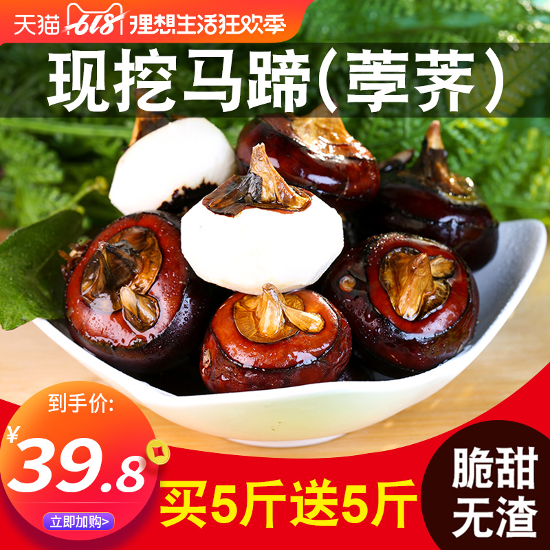 荸荠马蹄10斤带箱荸荠新鲜包邮当季水果蔬菜饽荠应季即食马蹄果在类目 水产肉类/新鲜蔬果/熟食, 新鲜蔬菜/蔬菜制品, 新鲜蔬菜, 其它中 - 来自Buy2taobao.com提供专业的淘宝代购服务