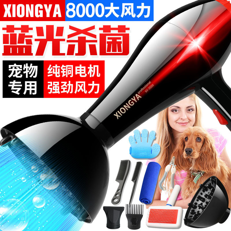 Pets high-power Chit machine Dogs hair drier Golden Retriever Large dogs dryer Teddy Long hairin the Pet/Pet food and supplies , Cat/Dog grooming cleaning supplies , Hair dryer category - from Buy2taobao.com to provide professional Taobao agent buy service