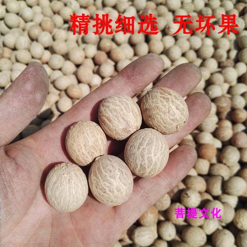 白玉菩提根新款菩提子白果原果直径11-30mm 菩提根大果原料论斤卖|msdalam kategori adat peribadi/Design Services/DIY, barang kemas adat, Cincin gelang adat - dari Buy2taobao.com untuk memberikan perkhidmatan ejen Taobao profesional membeli