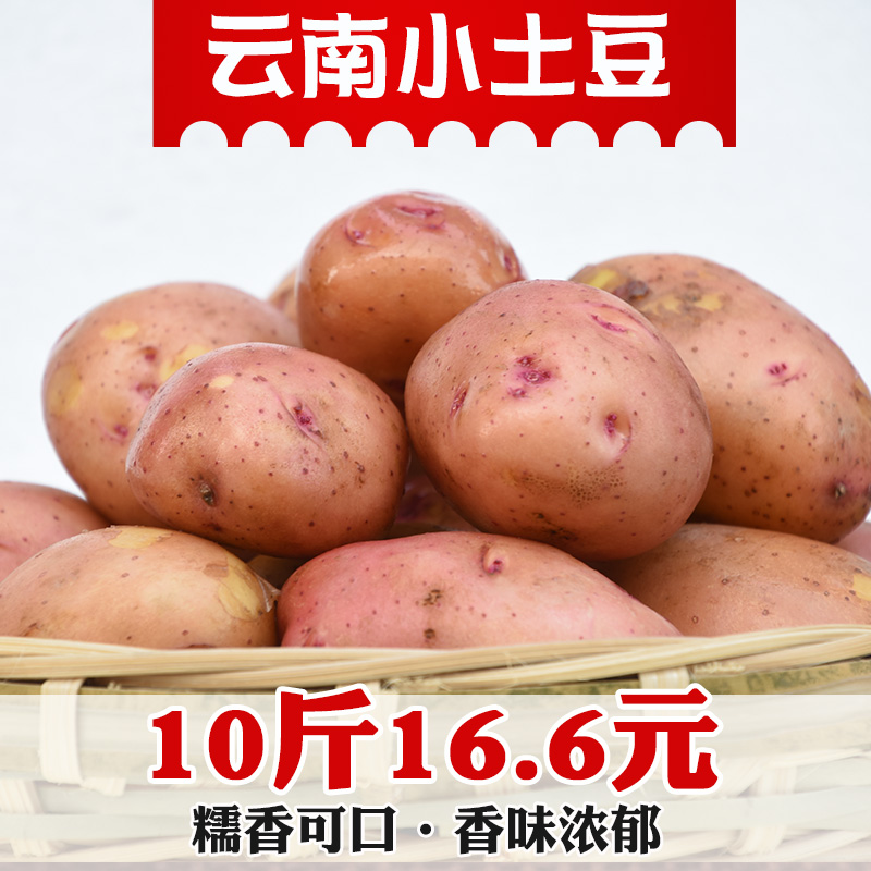 云南新鲜红皮小土豆农家蔬菜红皮黄心土豆马铃薯洋芋带箱10斤包邮|msdalam kategori daging perikanan/Buah-buahan segar dan sayur-sayuran/dimasak, sayur-sayuran segar/Vegetable Products, sayur-sayuran segar, Potato - dari Buy2taobao.com untuk memberikan perkhidmatan ejen Taobao profesional membeli