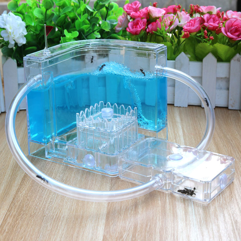 Domesticated Reptile Interesting environmental protection simulation Pets Ant activity Storage colour major largein the Pet/Pet food and supplies , Reptile/Insects and supplies Ming , Ant Mania category - from Buy2taobao.com to provide professional Taobao agent buy service