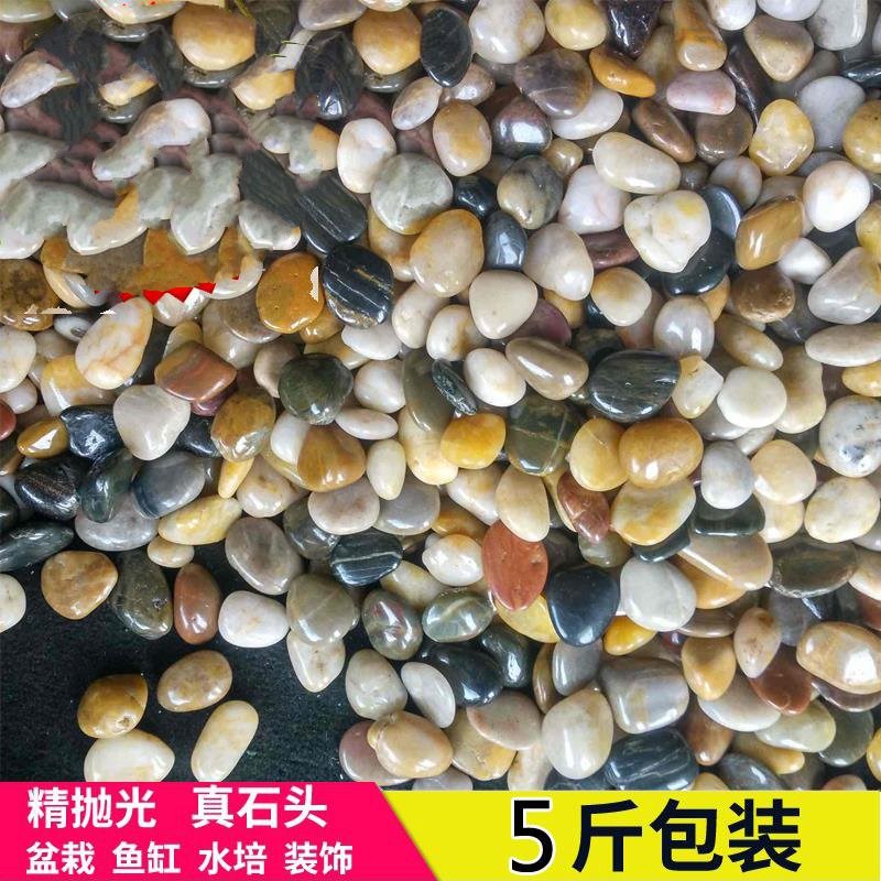 小石头鹅卵石雨花石花园白色铺地庭院家用花盆彩色黑色鱼缸天然在类目 鲜花速递/花卉仿真/绿植园艺, 园艺用品, 其它园艺用品中 - 来自Buy2taobao.com提供专业的淘宝代购服务