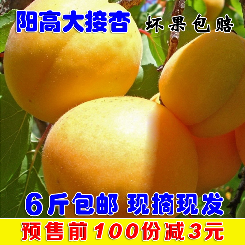 山西陽高特産新鮮水果杏子綠色無公害天然大接杏6斤現摘特價包郵在類目 水產肉類/新鮮蔬果/熟食, 新鮮水果, 其它中 - 來自Buy2taobao.com提供專業的淘寶代購服務
