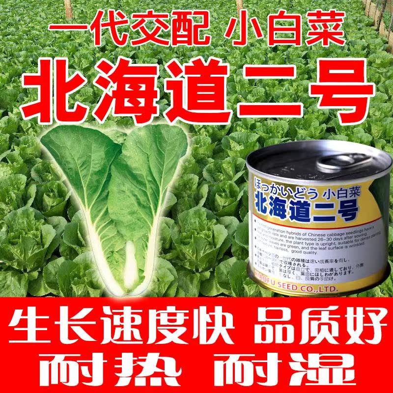 青菜种子四季播快菜种子蔬菜种子农家蔬菜菜籽种子北海道一号包邮|msdalam kategori penghantaran bunga/bunga simulasi/tumbuhan berkebun, bunga/Buah-buahan dan sayur-sayuran/benih rumput (baru), benih rumah berkebun - dari Buy2taobao.com untuk memberikan perkhidmatan ejen Taobao profesional membeli