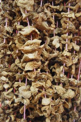 新货新疆巴音布鲁克草原野生草菇 野山菌 干货一斤280元包邮在类目 粮油米面/南北干货/调味品, 南北干货/肉类干货, 干货/土特产, 香菇类中 - 来自Buy2taobao.com提供专业的淘宝代购服务