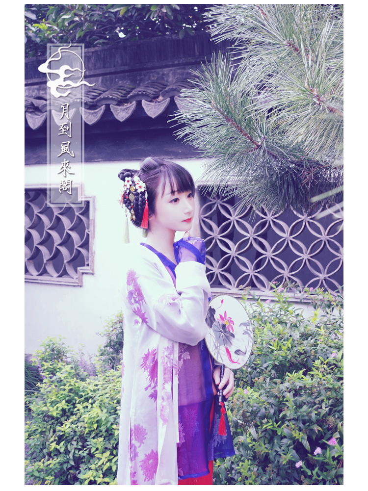 【篱菊静】 印花褙子 现货在类目 个性定制/设计服务/DIY, 服饰箱包定制, 服装定制, 汉服定制中 - 来自Buy2taobao.com提供专业的淘宝代购服务