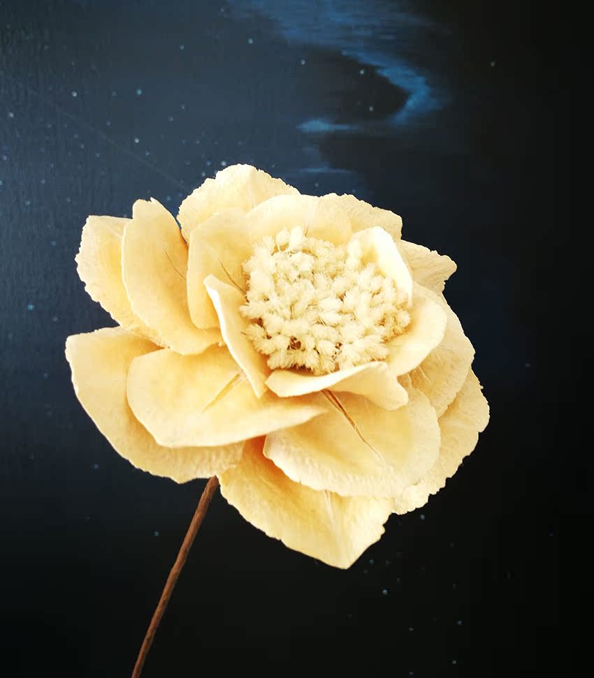 Boutique Dried flowers peony manual make natural Flower material decoratein the Home accessories , Vase/Flower/Artificial flowers/Imitation jewelry , Dried flowers/Petal/Dried package/Dry twigs category - from Buy2taobao.com to provide professional Taobao agent buy service