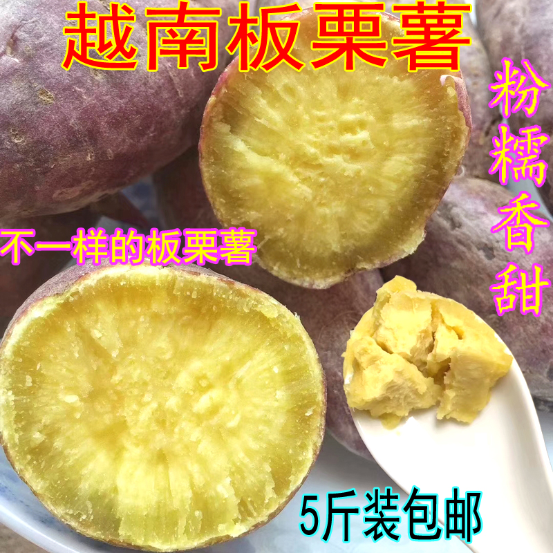 越南板栗红薯现挖地瓜新鲜香薯农家自种进口番薯山芋5斤装包邮在类目 水产肉类/新鲜蔬果/熟食, 新鲜蔬菜/蔬菜制品, 新鲜蔬菜, 番薯中 - 来自Buy2taobao.com提供专业的淘宝代购服务