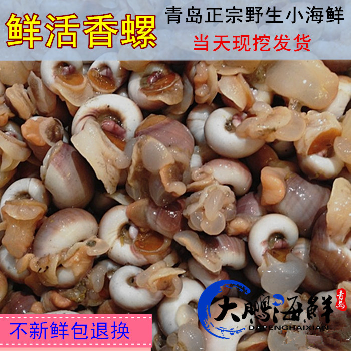香螺鲜活野生小香螺海螺新鲜贝壳类海鲜水产500g满3斤顺丰包邮在类目 水产肉类/新鲜蔬果/熟食, 海鲜/水产品/制品, 贝类, 贝类制品中 - 来自Buy2taobao.com提供专业的淘宝代购服务
