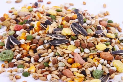 热销仓鼠 仓鼠粮食1kg 主食物饲料 仓鼠主粮 原Alex高级综合仓鼠粮 Jolly_易购街