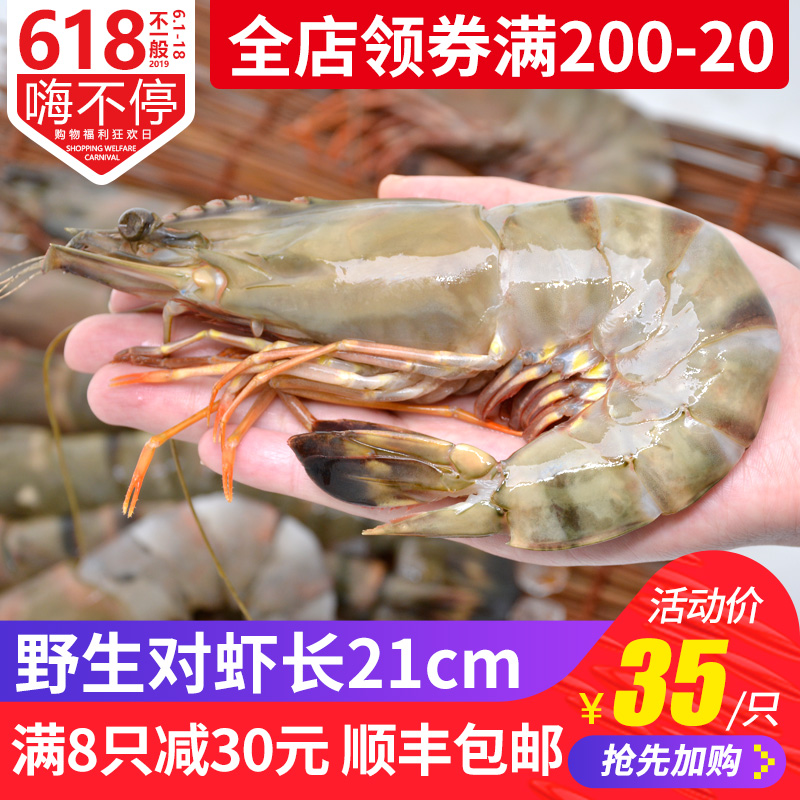 青岛海捕大对虾新鲜斑节虾红虎虾九节虾海虾1只装 满8只 顺丰包邮在类目 水产肉类/新鲜蔬果/熟食, 海鲜/水产品/制品, 虾类, 冻虾中 - 来自Buy2taobao.com提供专业的淘宝代购服务