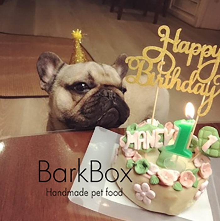 Barkbox Dogs Birthday Cake Kitty Birthday Cake Pets Birthday Cake customized Pets Cakein the Pet/Pet food and supplies , Dog snacks category - from Buy2taobao.com to provide professional Taobao agent buy service