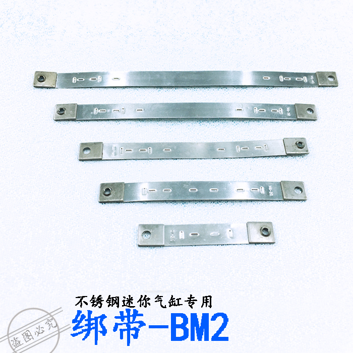 CM2B/MA/CDJ2B Stainless steel Mini Cylinder Dedicated Bandage Ligature magnetic switch D-C73 Bucklein the Hardware/Tool , Pneumatic Tools , Pneumatic components category - from Buy2taobao.com to provide professional Taobao agent buy service