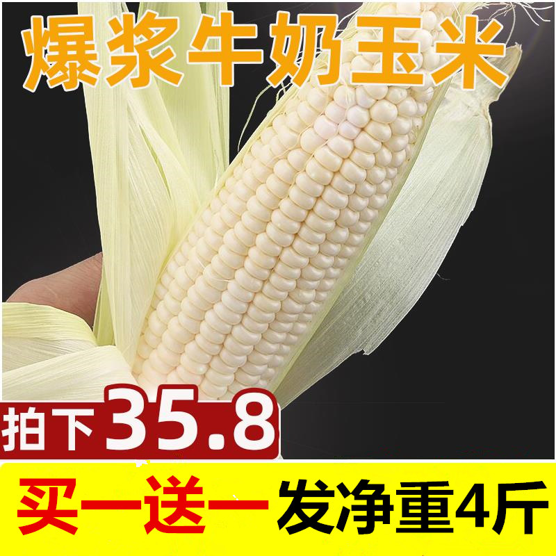 新鲜牛奶水果玉米爆浆牛奶玉米4斤 台湾玉米新鲜生吃冰糖现摘包邮在类目 水产肉类/新鲜蔬果/熟食, 新鲜蔬菜/蔬菜制品, 新鲜蔬菜, 新鲜玉米中 - 来自Buy2taobao.com提供专业的淘宝代购服务
