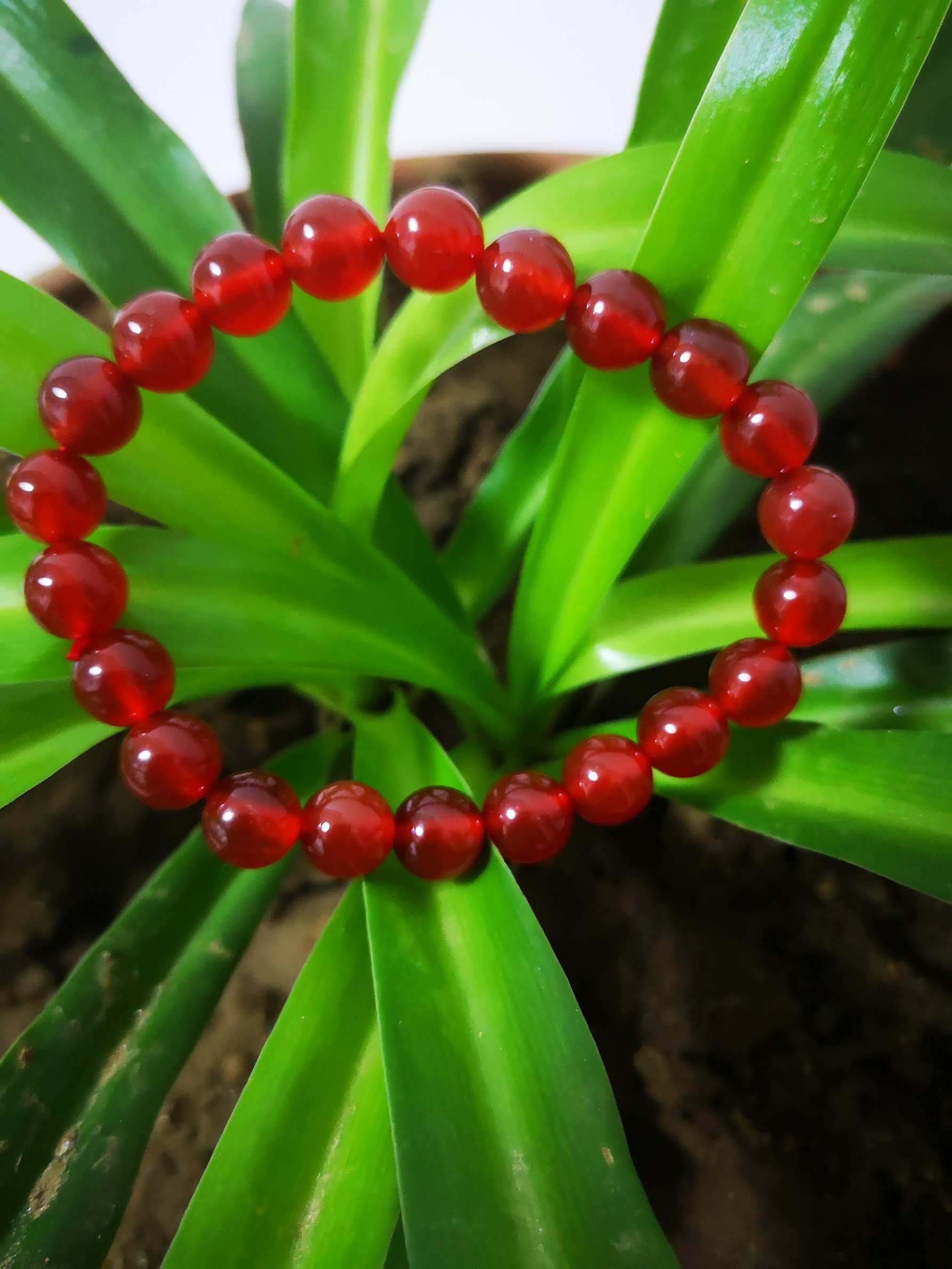 天然女款红玛瑙手链8mm,本店下单买任意宝贝,免费送此款手链在类目 珠宝/钻石/翡翠/黄金, 其他天然玉石, 手饰中 - 来自Buy2taobao.com提供专业的淘宝代购服务