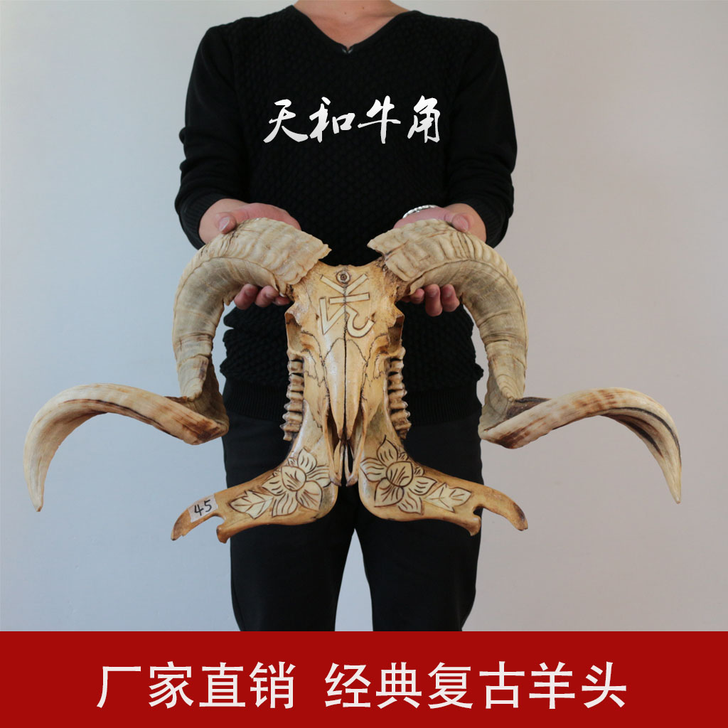 羊头骨标本 藏区天然真牛头 羊头工艺品 装饰羊头骨挂饰摆件|ruв категории Ручная работа, национальных меньшинств, в особенности ремесла, тибетский спецификой, другие - от Buy2taobao.com для оказания профессиональной услуги покупки агента Taobao