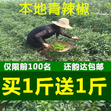 Fresh vegetables Local Green pepper Pepper Line pepper Farm Greenhouse vegetables Rhymein the Aquatic meat/Fresh fruits and vegetables/Cooked , Fresh vegetables/Vegetable products , Fresh vegetables , Other category - from Buy2taobao.com to provide professional Taobao agent buy service