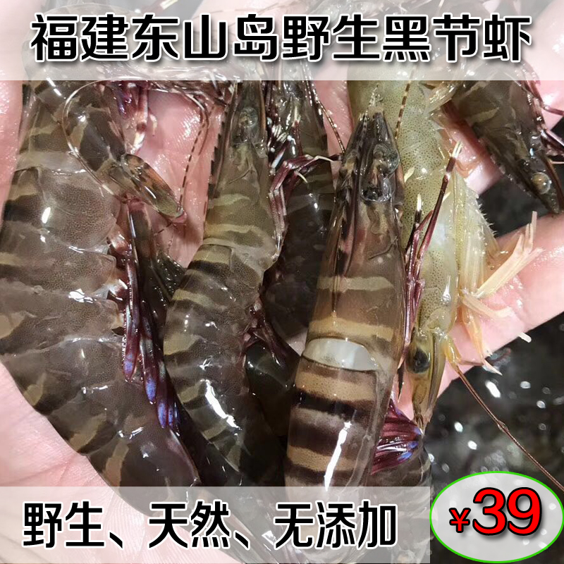 福建東山島海鮮 野生黑節蝦 海蝦 竹節蝦發5-8頭250克在類目 水產肉類/新鮮蔬果/熟食, 海鮮/水產品/製品, 蝦類, 凍蝦中 - 來自Buy2taobao.com提供專業的淘寶代購服務