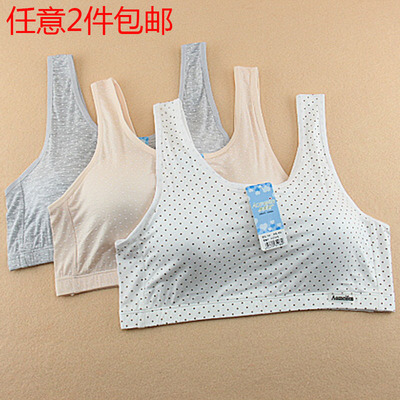 薄款中老年胸罩妇女妈妈无钢圈舒适内衣老人背心式睡觉文胸奥美芬