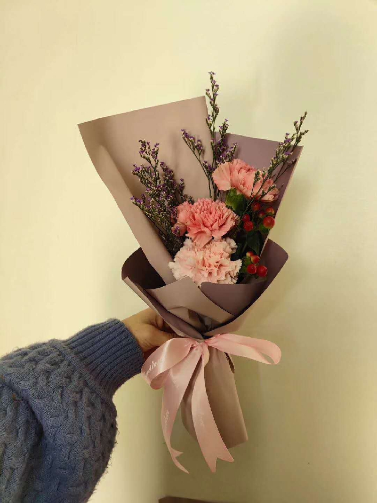 单支康乃馨迷你小花束3朵花鲜花速递上海康乃馨向日葵北京石家庄|msdalam kategori penghantaran bunga/bunga simulasi/tumbuhan berkebun, penghantaran bunga (bandar) - dari Buy2taobao.com untuk memberikan perkhidmatan ejen Taobao profesional membeli