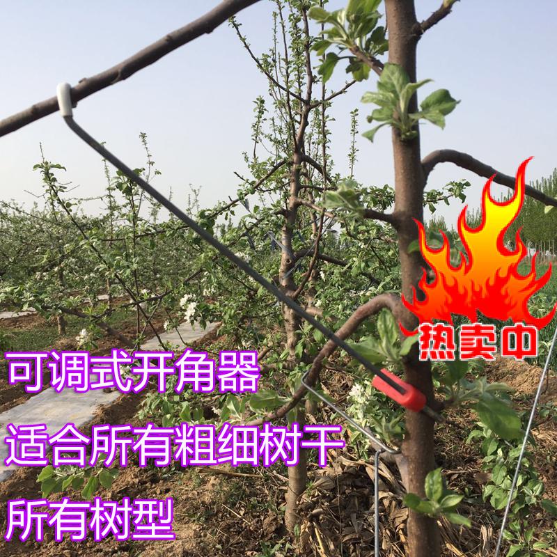 万能型果树可调式开角器 拉枝器 拨枝器 拉枝工具果树开角大号在类目 农机/农具/农膜, 农业工具, 其它农用工具中 - 来自Buy2taobao.com提供专业的淘宝代购服务