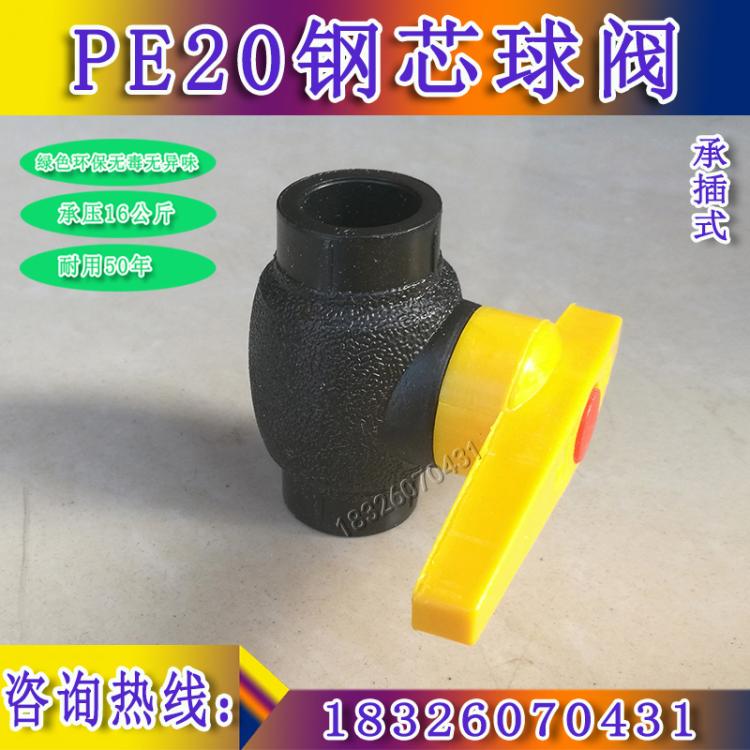 PE Globe valve PE Steel core ball dn20 PE parts PE Plumbing fittings PE Pipe Fittings valvein the Basic building materials , Plumbing pipe , PE Tube/Fitting category - from Buy2taobao.com to provide professional Taobao agent buy service