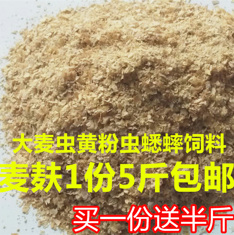 大麦虫黄粉虫麦麸皮小麦麸子诱鱼窝料钓鱼配料鸡鸭饲料5斤包邮在类目 宠物/宠物食品及用品, 爬虫/鸣虫及其用品, 爬虫/鸣虫食物中 - 来自Buy2taobao.com提供专业的淘宝代购服务
