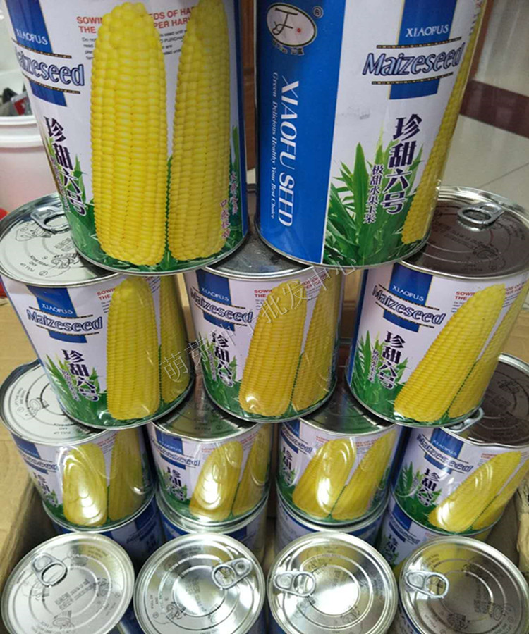 珍甜6号生吃水果超米种子甜玉米种子四季播包邮即食高产早熟新鲜在类目 农用物资, 种子/种苗, 蔬菜种子中 - 来自Buy2taobao.com提供专业的淘宝代购服务