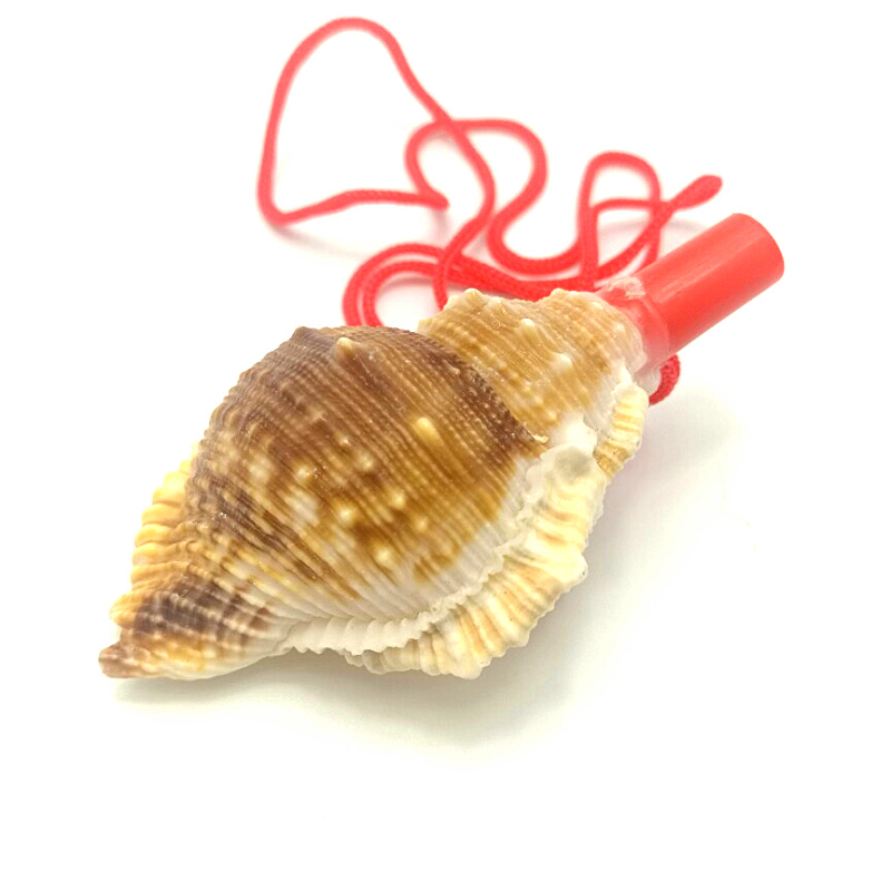 海螺喇叭海螺号海边纪念品扁刺海螺杨桃海螺号地摊玩具儿童玩具在类目 玩具/童车/益智/积木/模型, 音乐玩具/儿童乐器, 吹奏玩具/乐器中 - 来自Buy2taobao.com提供专业的淘宝代购服务