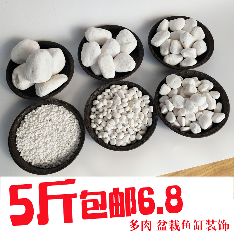 白色石子多肉盆栽鋪面石魚缸裝飾石頭庭院布景大鵝卵石雨花石包郵在類目 鮮花速遞/花卉仿真/綠植園藝, 園藝用品, 其它園藝用品中 - 來自Buy2taobao.com提供專業的淘寶代購服務