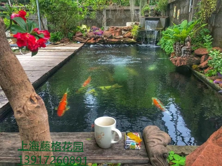 专业大型锦鲤鱼池过滤池系统施工建造花园硬装绿化庭院设计|ruв категории доставка цветов/цветок моделирования/растения садоводства, садовых принадлежностей, других садовых принадлежностей - от Buy2taobao.com для оказания профессиональной услуги покупки агента Taobao