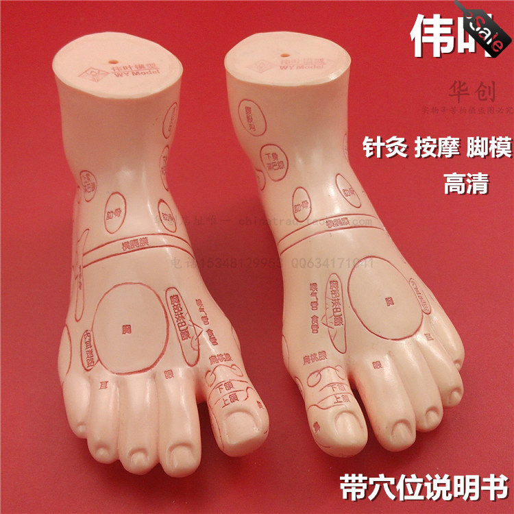 正品伟业超清晰经络通足模足部反射区模型足疗穴位模型按摩脚模型在类目 玩具/童车/益智/积木/模型, 静态模型, 其他模型玩具中 - 来自Buy2taobao.com提供专业的淘宝代购服务
