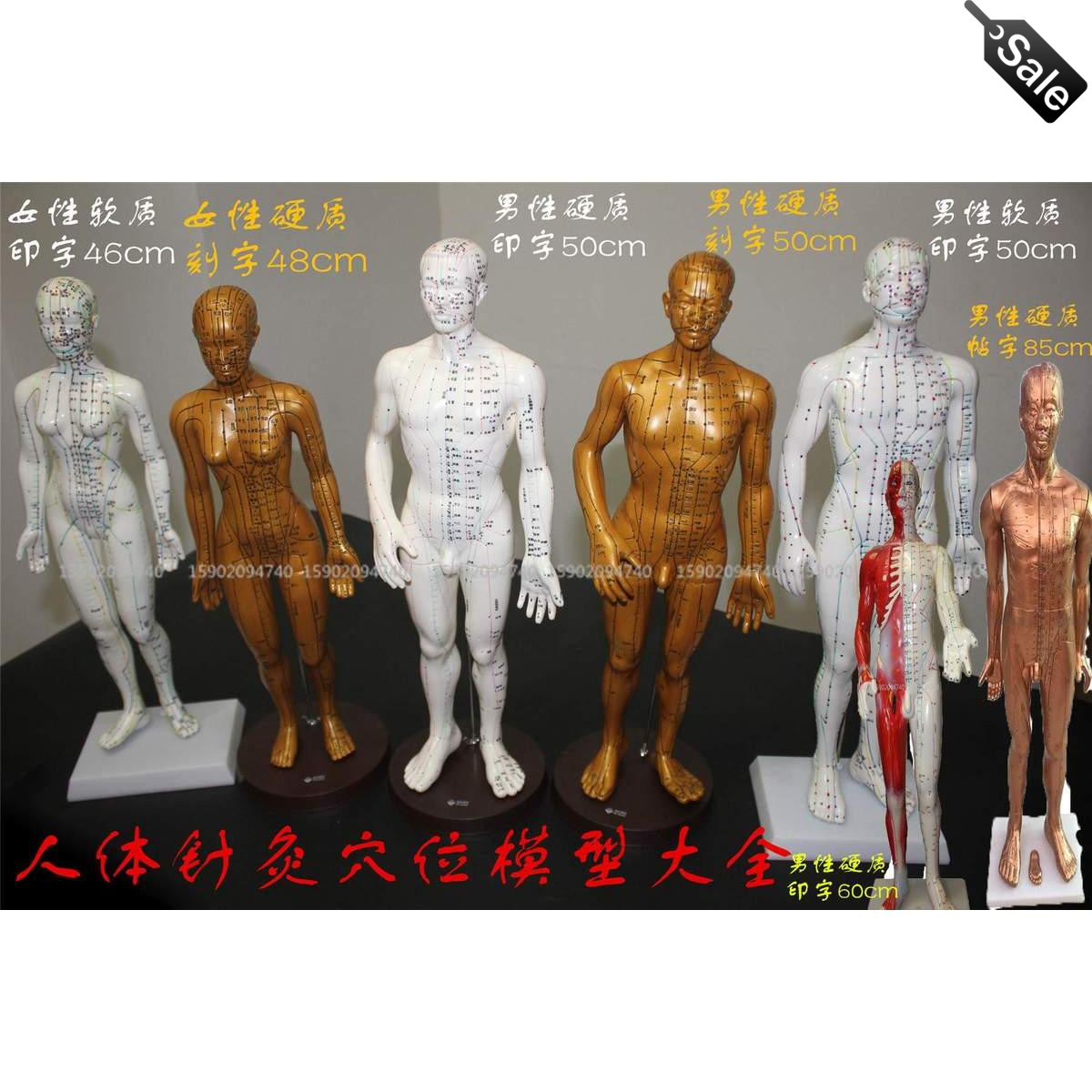 中医针灸人体模型小人拔罐穴位模型经络通硅胶模型软硬男女镀纯铜在类目 玩具/童车/益智/积木/模型, 静态模型, 其他模型玩具中 - 来自Buy2taobao.com提供专业的淘宝代购服务