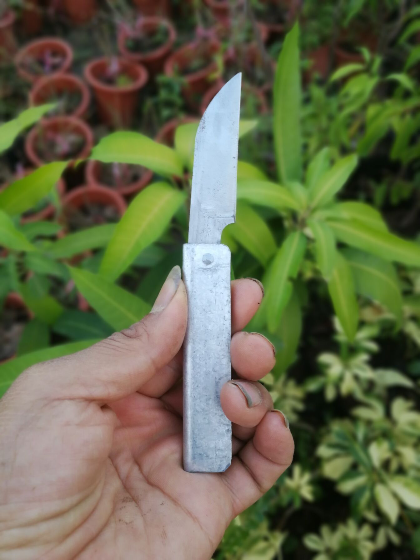 manual Stainless steel make major grafting Knife sharp Good Rust durable Growers thisin the Flower delivery/Flowers simulation/Plants gardening , Gardening supplies , Other Garden Supplies category - from Buy2taobao.com to provide professional Taobao agent buy service