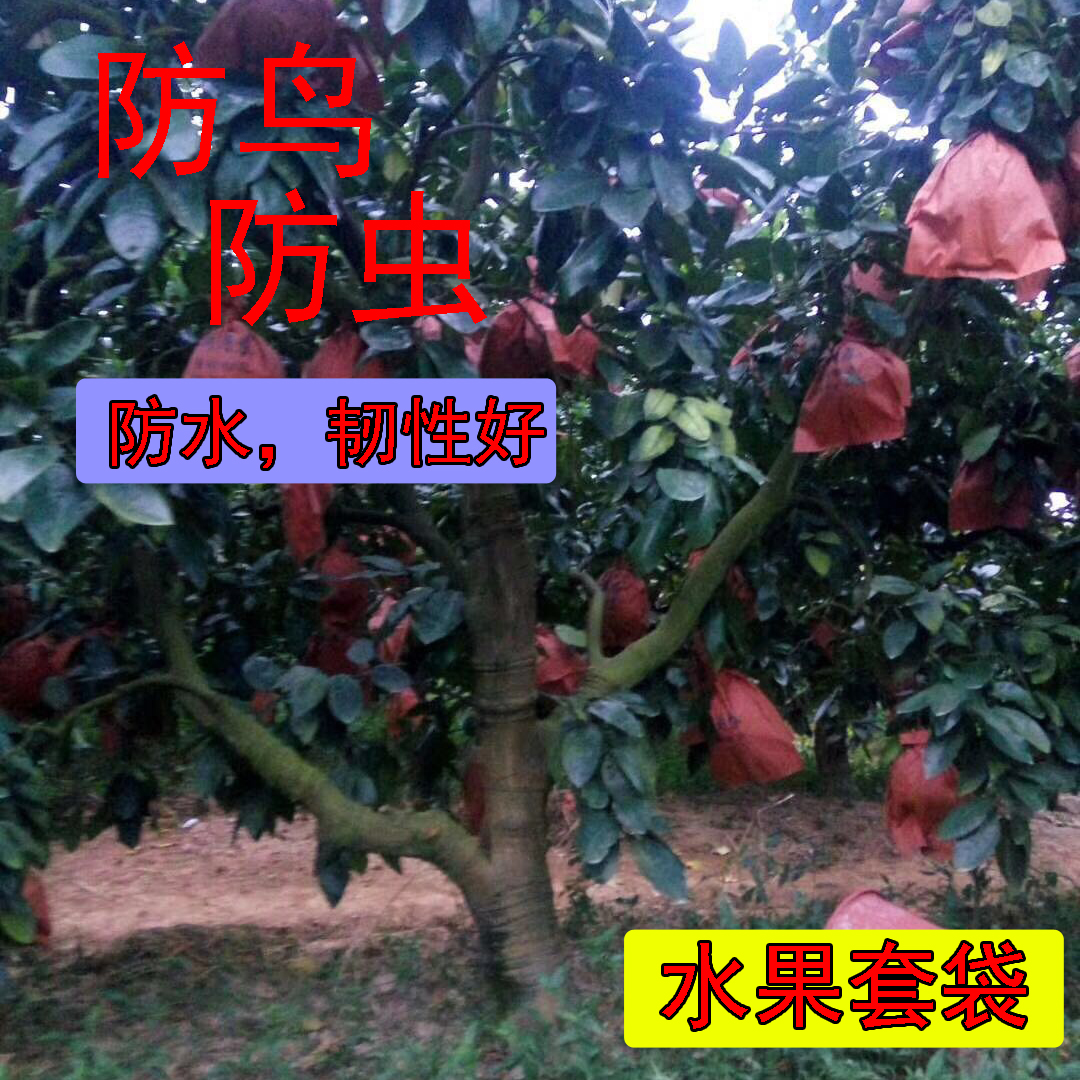 Pomelo Pomelo Bagging Dedicated Bag waterproof Pest control Grapefruit paper bag Red fruit Baggingin the Flower delivery/Flowers simulation/Plants gardening , Gardening supplies , Other Garden Supplies category - from Buy2taobao.com to provide professional Taobao agent buy service